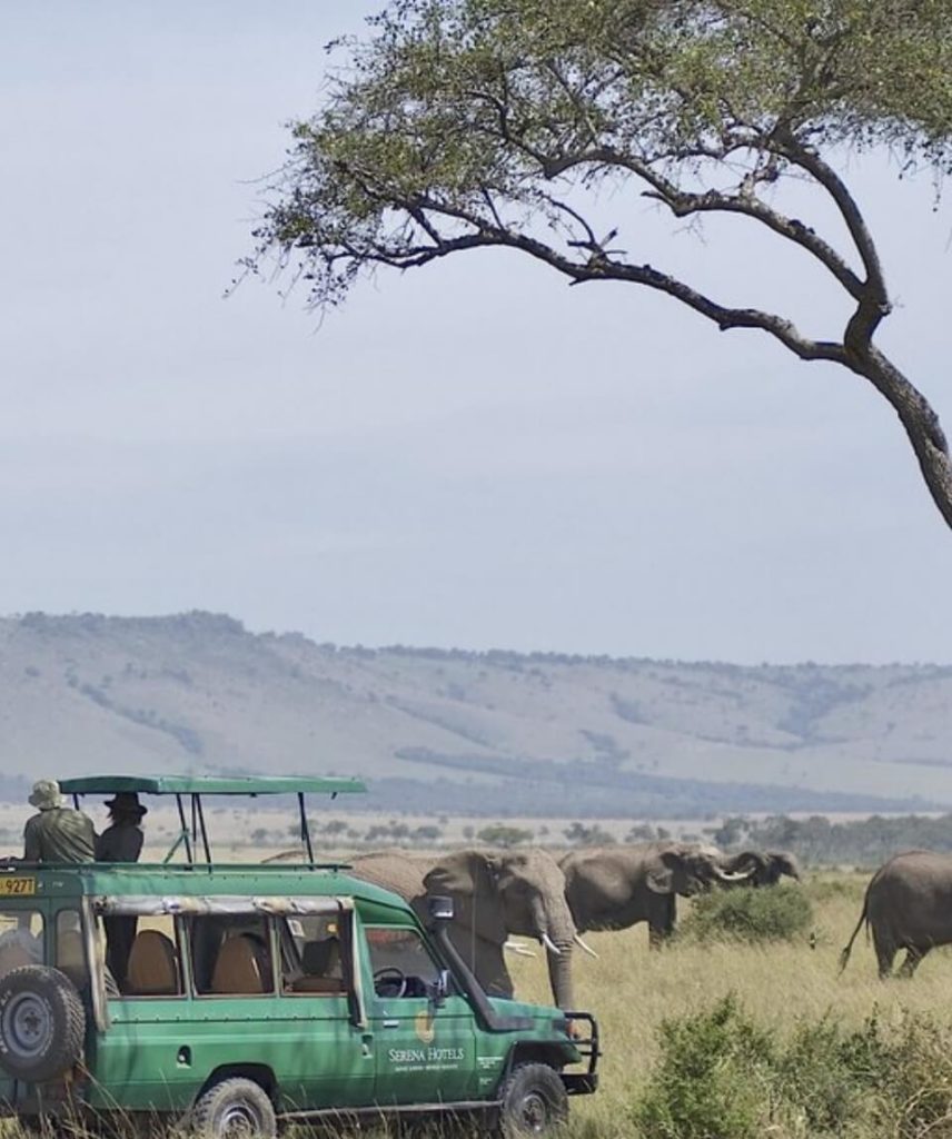 Kenya Masai Mara Safari Packages from Nairobi Southern Valley Safaris
