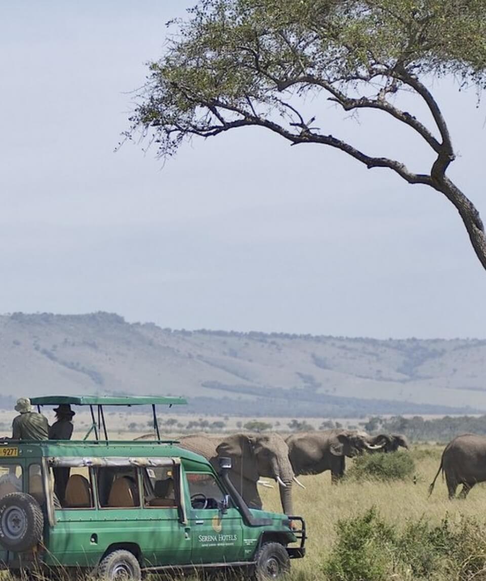 Masai Mara Safari Experience