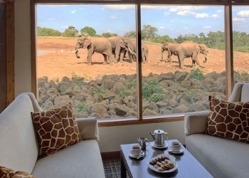 Nairobi Kenya Safaris