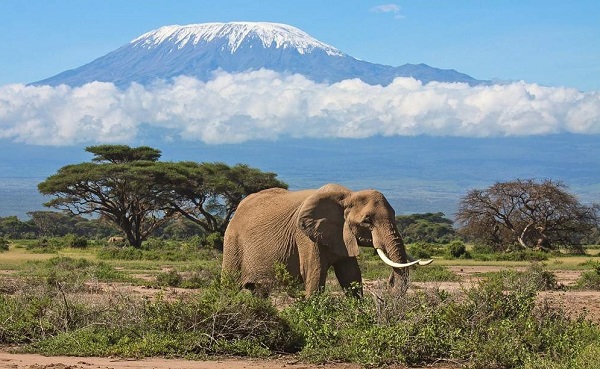 Best-Time-to-Visit-Amboseli-National-Park
