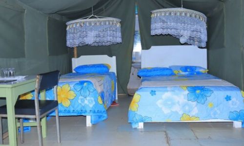 Rhino camp mara
