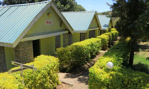 Rhino tourist camp